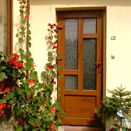 Vila Alunis Guest house *
