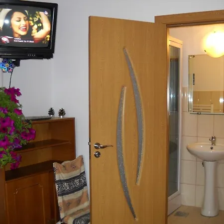 Guest house Vila Alunis Predeal